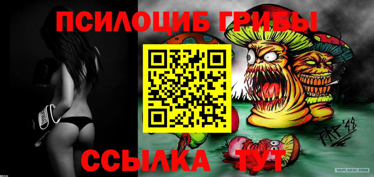 Галлюциногенные грибы GOLDEN TEACHER  Вход с VPN  Волжск  Галлюциногенные грибы мухоморы 